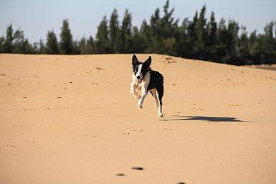 《战神》总监呼吁玩家尊重开发者 Xbox老大表示支持